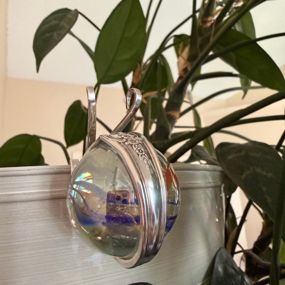 Marble Fork Snail - Picture 3 of 9